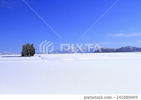小千谷池原雪原與越後三山雪景 小千谷池原雪原與越後三山雪景 141089409
