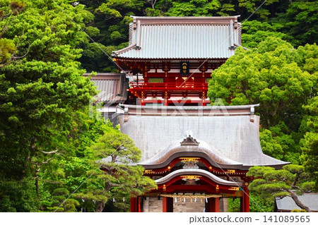 The main shrine and dance hall of Tsurugaoka Hachimangu Shrine, surrounded by fresh greenery (2-chome, Yukinoshita, Kamakura City, Kanagawa Prefecture) The main shrine and dance hall of Tsurugaoka Hachimangu Shrine, surrounded by fresh greenery (2-chome, Yukinoshita, Kamakura City, Kanagawa Prefecture) 141089565