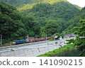 A freight train pulled by EF64-1025 powerfully speeds along the Hakubi Line, a landscape reminiscent of a miniature garden. (Photographed on June 18, 2026) A freight train pulled by EF64-1025 powerfully speeds along the Hakubi Line, a landscape reminiscent of a miniature garden. (Photographed on June 18, 2026) 141090215
