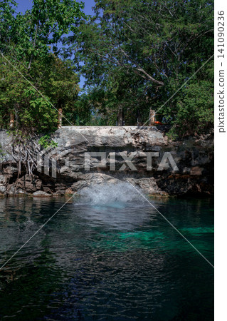 Mystical cenote with hanging roots and clear water Mystical cenote with hanging roots and clear water 141090236