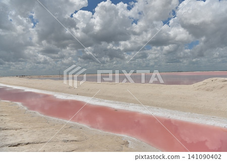 Pink salt pools winding through sandy terrain Pink salt pools winding through sandy terrain 141090402