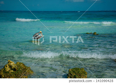 Pelican flying low over turquoise ocean waves 141090428