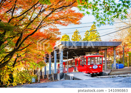 Autumn foliage at Mt. Tsukuba in Ibaraki Prefecture 141090863