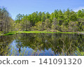 [Togakushi Forest Botanical Garden] Green Pond in the Fresh Greenery [Togakushi, Nagano City] 141091320