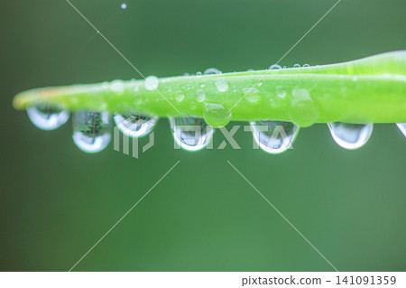 水滴 水滴 141091359