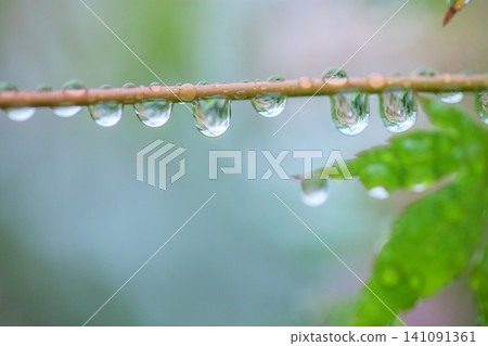 水滴 水滴 141091361
