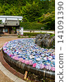 Hydrangea of Kusanji 141091390