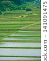 A rural landscape in a certain farming village [Nagano Prefecture] 141091475
