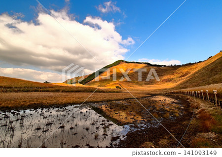 The golden pampas grass of Soni Plateau in late autumn is beautiful. The golden pampas grass of Soni Plateau in late autumn is beautiful. 141093149