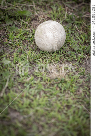 一個被遺忘的棒球靜靜地躺在草地上。 一個被遺忘的棒球靜靜地躺在草地上。 141093283