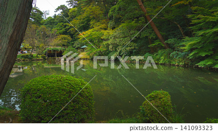 Kanazawa, Japan - Oct 6 2024, panoramic view of a pond surrounded by trees in Kenroku-en Park, without people, at daytime, Kanazawa, Japan Kanazawa, Japan - Oct 6 2024, panoramic view of a pond surrounded by trees in Kenroku-en Park, without people, at daytime, Kanazawa, Japan 141093323