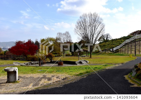 Kanagawa Prefecture: Sunny Hill Walking Trail, Autumn Leaves, and Roller Slide at Odawara Suwanohara Prefectural Park 141093604