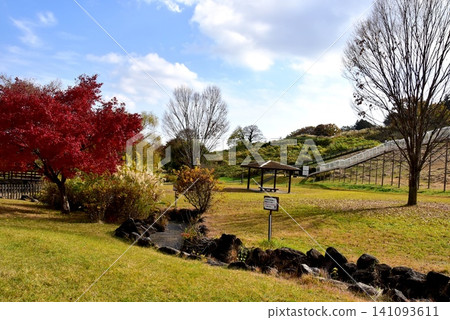 神奈川縣:小田原諦訪之原縣立公園的陽光山丘、秋葉和滾筒滑梯 神奈川縣:小田原諦訪之原縣立公園的陽光山丘、秋葉和滾筒滑梯 141093611