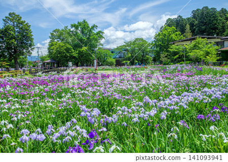 Ayame Park 141093941