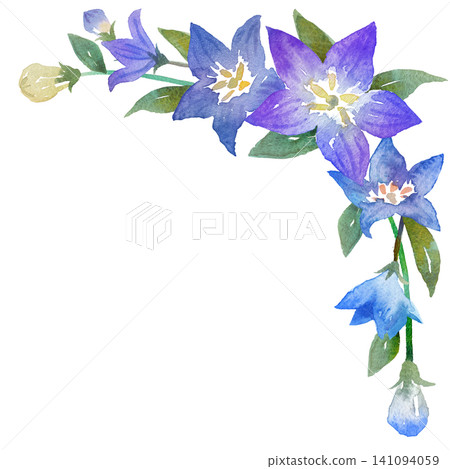 水彩風鈴草畫框材料 141094059