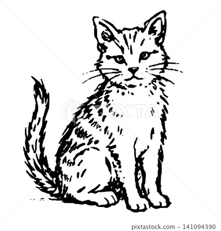 Hand Drawn Tabby Kitten Vector Illustration 141094390