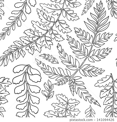 Vector fern leaves outline seamless pattern. Hand drawn black botanical foliage with forest frond and natural greenery. Decorative design for wallpaper or fabric. Floral background for woodland art. Vector fern leaves outline seamless pattern. Hand drawn black botanical foliage with forest frond and natural greenery. Decorative design for wallpaper or fabric. Floral background for woodland art. 141094426