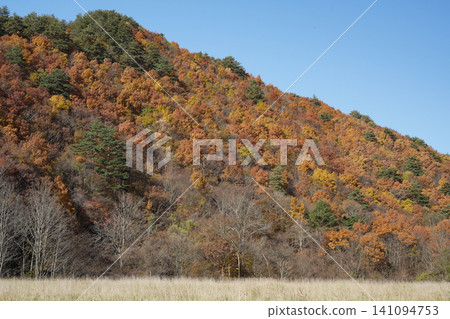 岩手縣葛卷町江刈市,沿戶川 岩手縣葛卷町江刈市,沿戶川 141094753