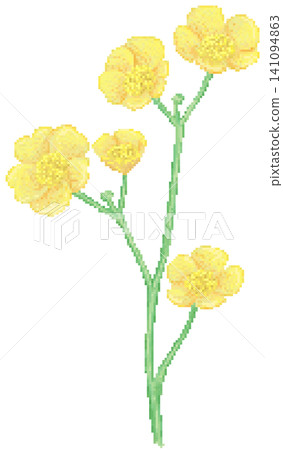 Buttercup flower in pixel art Buttercup flower in pixel art 141094863