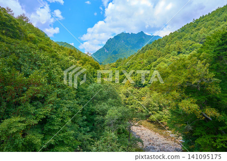 從山梨縣山梨市西澤峽谷的大鳥大橋上,可以看到西北方的桂冠山和笛吹川。 從山梨縣山梨市西澤峽谷的大鳥大橋上,可以看到西北方的桂冠山和笛吹川。 141095175