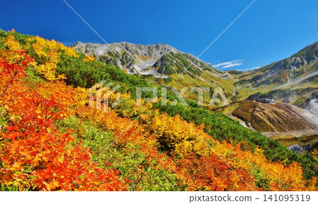 Autumn foliage hiking in the Tateyama mountain range Autumn foliage hiking in the Tateyama mountain range 141095319