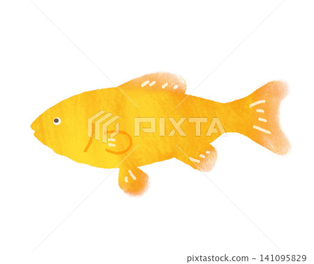Illustration of a goldfish swimming Illustration of a goldfish swimming 141095829