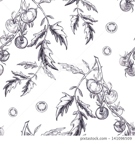 Seamless pattern with cherry tomato vines, round fruits and sliced pieces hand-drawn pencil graphite hatching sketch art. Culinary botanical texture ideal for farm-to-table packaging, kitchen textile. Seamless pattern with cherry tomato vines, round fruits and sliced pieces hand-drawn pencil graphite hatching sketch art. Culinary botanical texture ideal for farm-to-table packaging, kitchen textile. 141096509