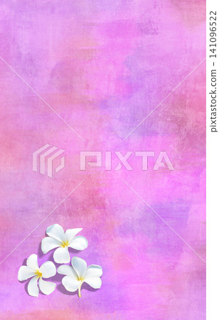White plumeria flowers against a pink-purple grunge background 141096522