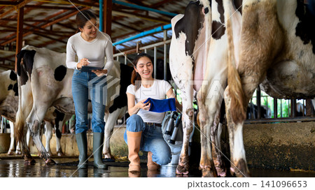 Dairy workers inspecting cow udder and recording data during milking process Dairy workers inspecting cow udder and recording data during milking process 141096653