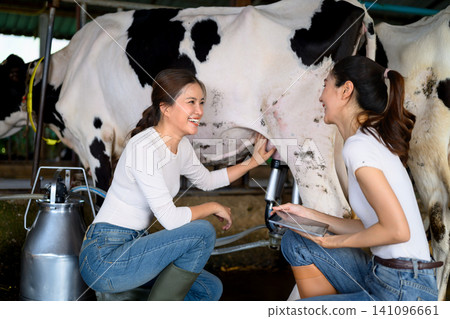 Dairy workers discussing milking process and monitoring cow health in farm Dairy workers discussing milking process and monitoring cow health in farm 141096661
