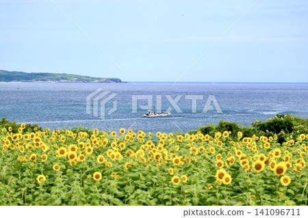Sailing Sailing 141096711