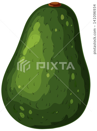Whole Green Avocado Vector Illustration Isolated on White Background 141096934