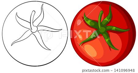 Top View Vector Illustration of Red Tomato and Line Art Outline Top View Vector Illustration of Red Tomato and Line Art Outline 141096948