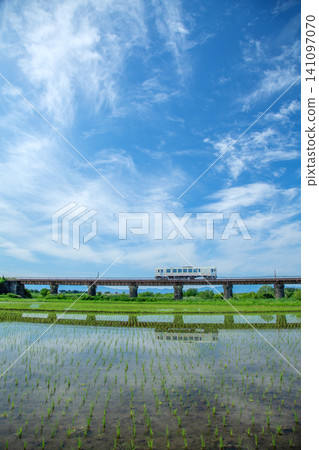 Local train Local train 141097070