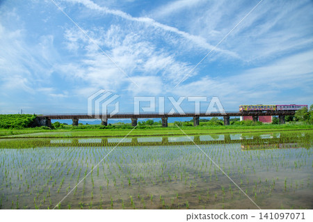 Local train Local train 141097071