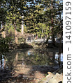 Scenery with a pond 141097159