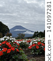 Mount Fuji and many flowers 141097281