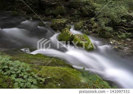 Long-exposure photography of the clear waters of the Serikawa River headwaters in the Kawachi Valley during summer. Long-exposure photography of the clear waters of the Serikawa River headwaters in the Kawachi Valley during summer. 141097331