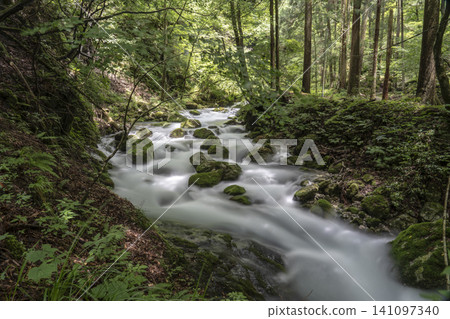 Long-exposure photography of the clear waters of the Serikawa River headwaters in the Kawachi Valley during summer. Long-exposure photography of the clear waters of the Serikawa River headwaters in the Kawachi Valley during summer. 141097340
