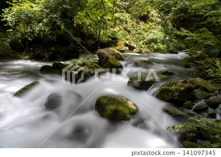 Long-exposure photography of the clear waters of the Serikawa River headwaters in the Kawachi Valley during summer. Long-exposure photography of the clear waters of the Serikawa River headwaters in the Kawachi Valley during summer. 141097345