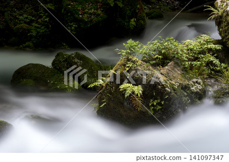 Long-exposure photography of the clear waters of the Serikawa River headwaters in summer. Long-exposure photography of the clear waters of the Serikawa River headwaters in summer. 141097347