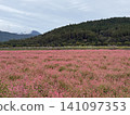 Red flowers and mountains 141097353