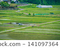 A rural landscape in a certain farming village [Nagano Prefecture] 141097364