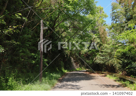 一根老舊的木製電線桿和一條鄉村公路(宮城縣鹽釜市神風澤島) 一根老舊的木製電線桿和一條鄉村公路(宮城縣鹽釜市神風澤島) 141097402