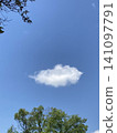 Cloud 141097791