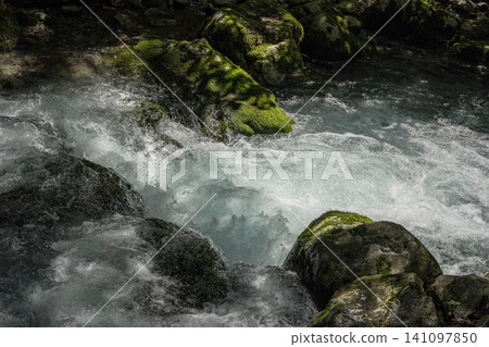 The headwaters of the Serikawa River in summer, a clear stream in the Kawachi Valley. The headwaters of the Serikawa River in summer, a clear stream in the Kawachi Valley. 141097850