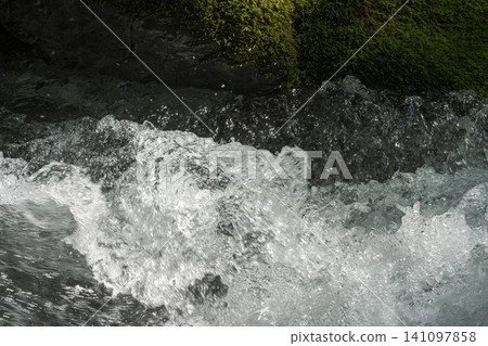 夏季芹川源頭,河內谷的一條清澈溪流。 夏季芹川源頭,河內谷的一條清澈溪流。 141097858
