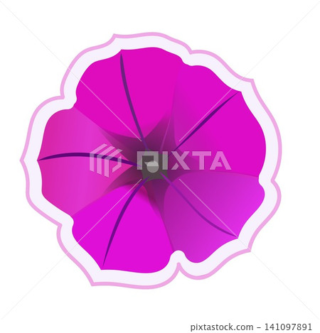 帶有白色邊框的矮牽牛花插圖 141097891