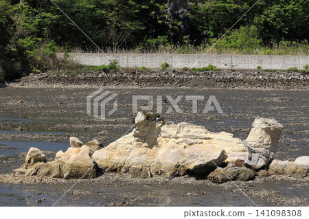 形似海龜或拉普拉斯的奇特岩層(宮城縣神風澤島) 形似海龜或拉普拉斯的奇特岩層(宮城縣神風澤島) 141098308