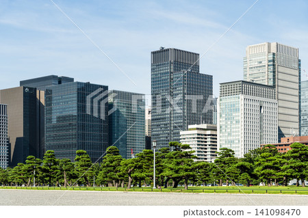 View of the many pine trees around the Kokyo Gaien gardens, with the Marunouchi Modern office building background in Chiyoda, Tokyo, Japan. Marunouchi is the core of the Tokyo central business distric View of the many pine trees around the Kokyo Gaien gardens, with the Marunouchi Modern office building background in Chiyoda, Tokyo, Japan. Marunouchi is the core of the Tokyo central business distric 141098470